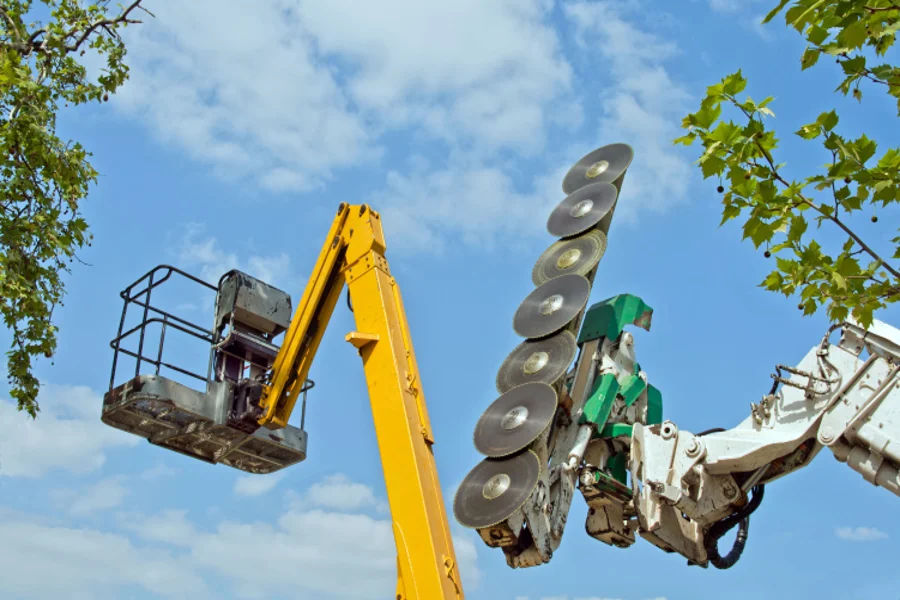 Benefits of Regular Tree Trimming for Property Value Fairbanks, AK