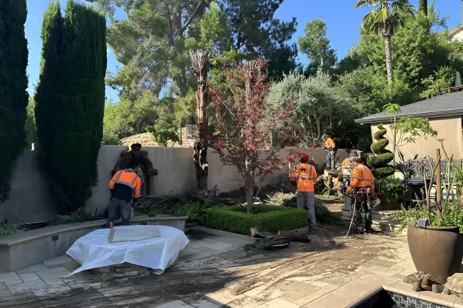 Your Reliable Tree Expert in Fairbanks, AK